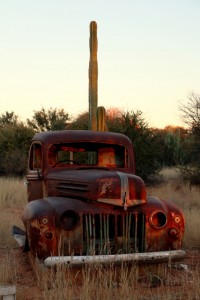 Cacti Smokestack
