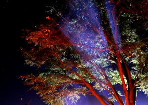 Smoke reflection