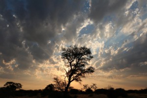Sunset Mapyatutlwa Pan