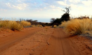 Sandy track