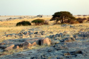Lekhubu Island
