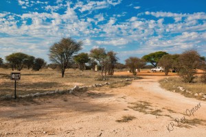 campsite at Tsabong Camel park