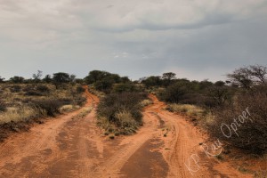 Dual road in Mabua