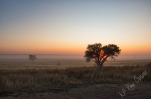 Sunrise with fog in Mabuasehube