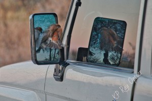 Mirror fighting