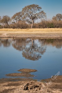 Reflection